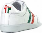 Compakt White-tricolor - 36